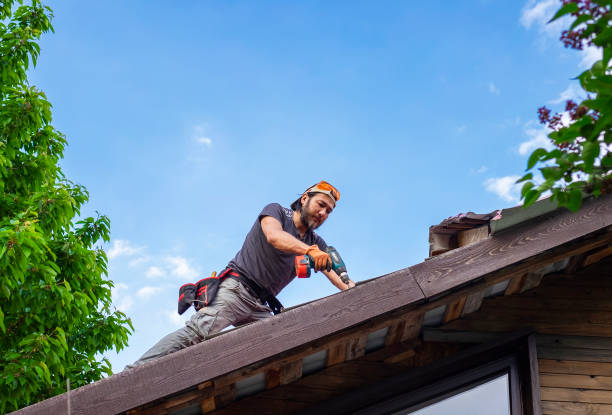 Best Roof Moss and Algae Removal  in New Kensington, PA